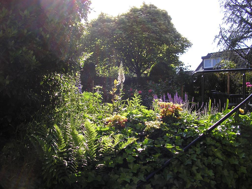 Walnut Lodge Bed & Breakfast Noorbeek Bagian luar foto